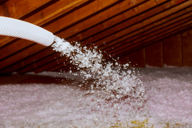Best Energy Efficiency Insulation in Lakefield, MN