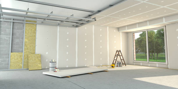 Best Eco-Friendly Insulation in Lakefield, MN