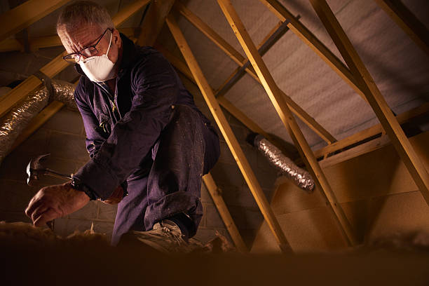 Best Commercial Insulation in Lakefield, MN